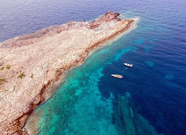 Discover Snorkeling