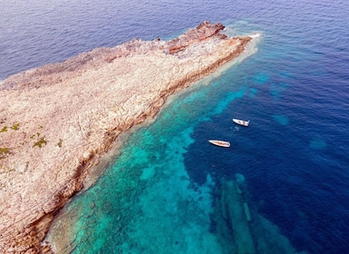 Discover Snorkelling