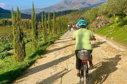 Castellammare del Golfo Ebike Tour to Grotta Mangiapane