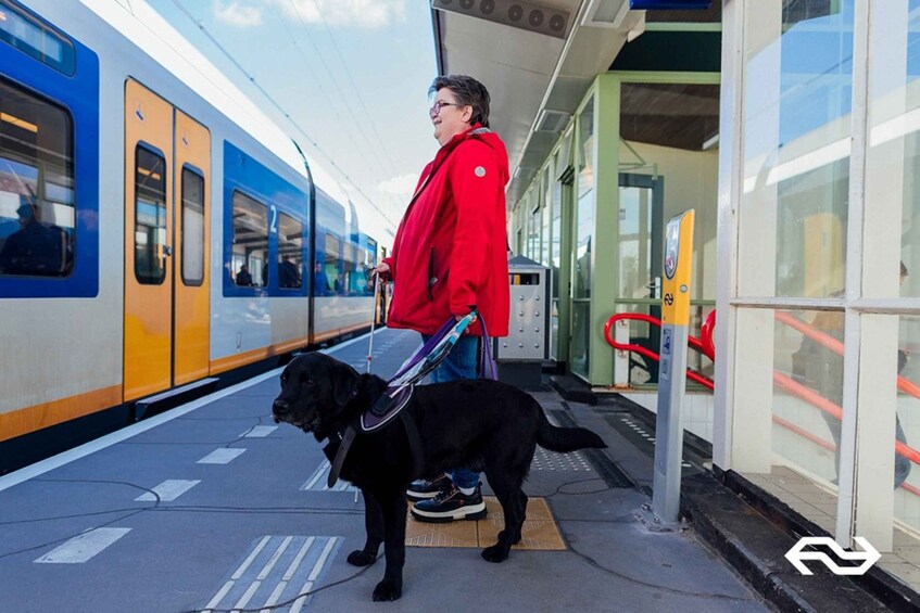 Picture 9 for Activity Amsterdam: Train Transfer Schiphol Airport from/to Amsterdam