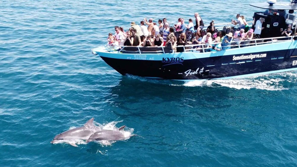 Picture 4 for Activity Portimão: Benagil Caves & Dolphins Watching with Biologist