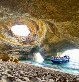 Portimão: Benagil Caves & Dolphins Watching with Biologist