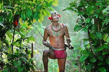 3 Days 2 Nights Siberut Jungle Trekking Mentawai Experience