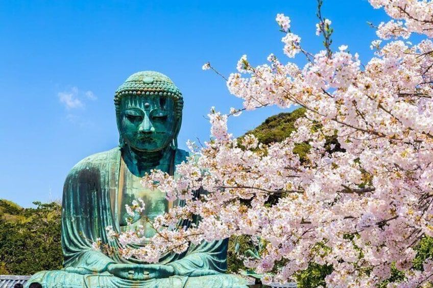 Explore Kamakura Highlights Private Day Tour from Tokyo