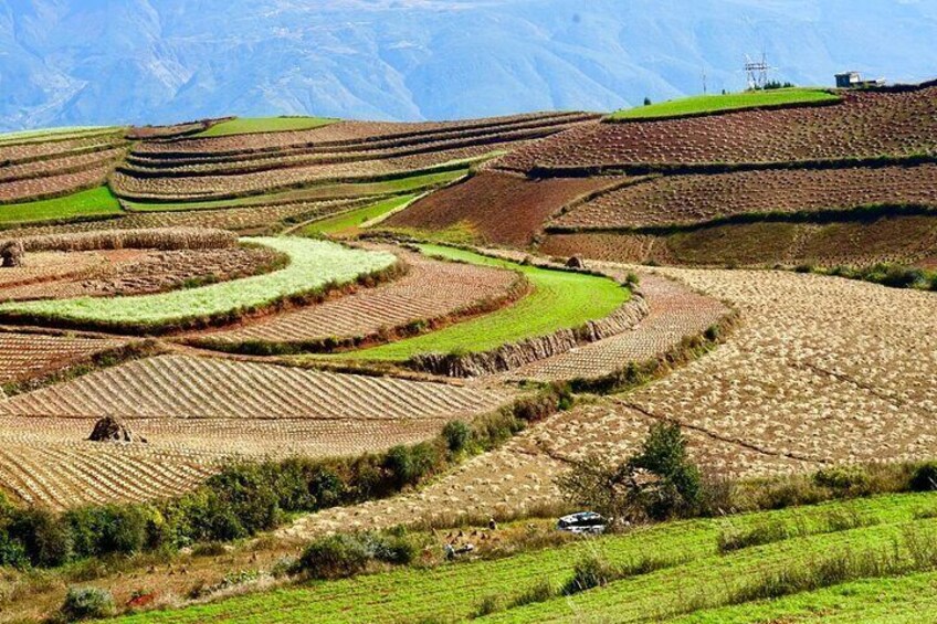 Dongchuan Red Land Private Tour
