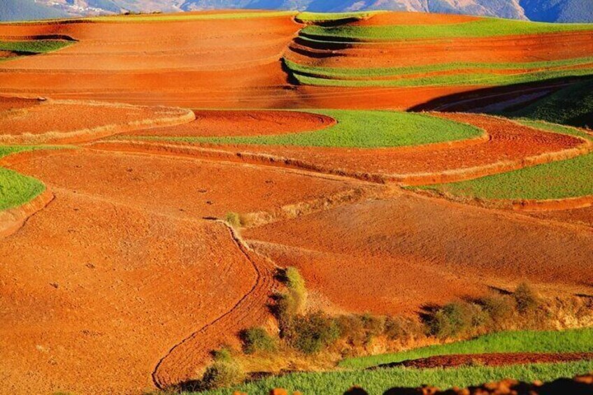 Dongchuan Red Land Private Tour