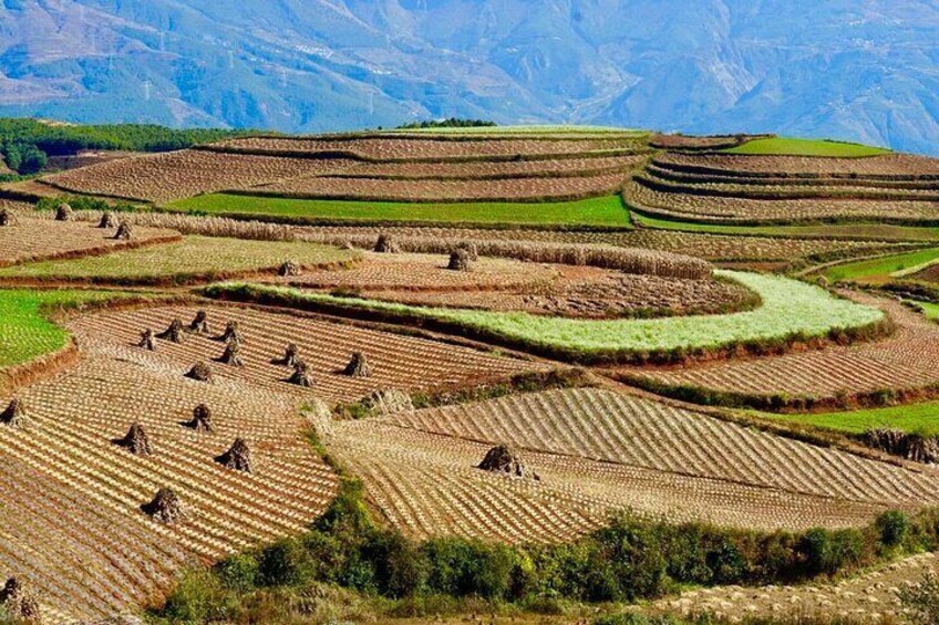 Dongchuan Red Land Private Tour