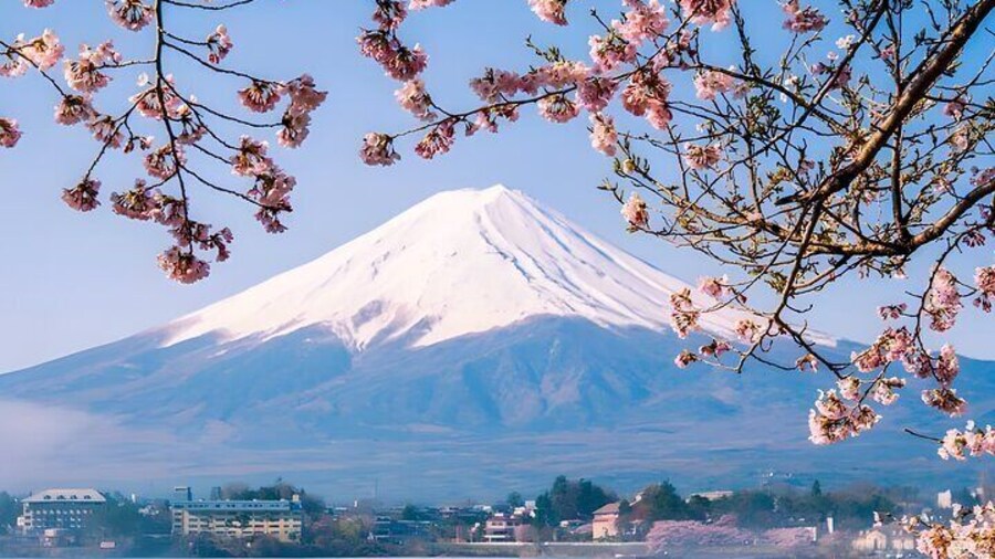 Tokyo Mt Fuji Trip with Kawaguchiko Ropeway and Matcha Tea
