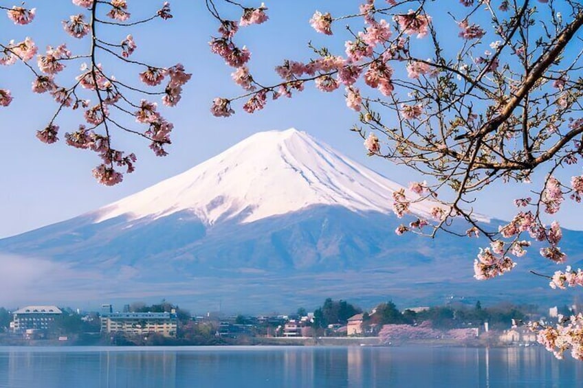 Tokyo Mt Fuji Trip with Kawaguchiko Ropeway and Matcha Tea