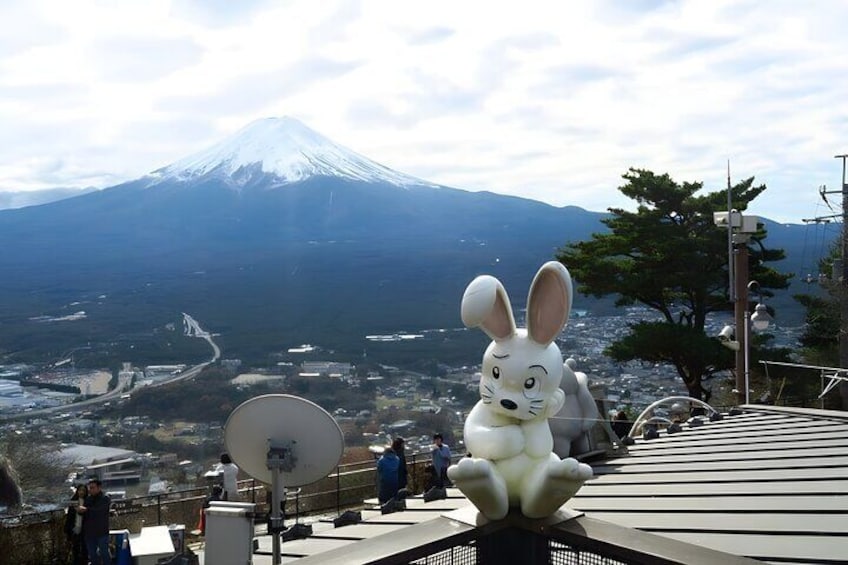 Tokyo Mt Fuji Trip with Kawaguchiko Ropeway and Matcha Tea
