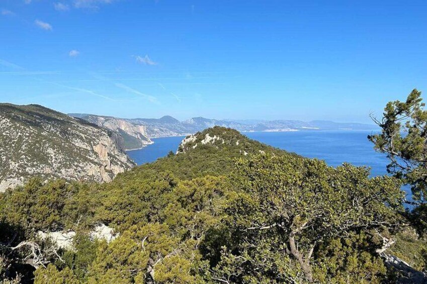 Italy Punta Salinas Shared Buggy Tour