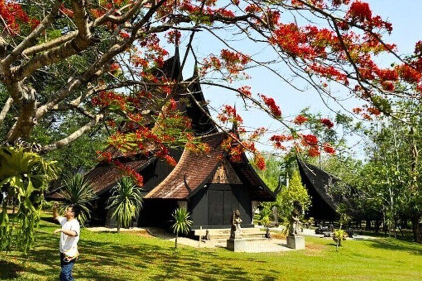 Sacred Art Journey: White & Blue Temples Experience
