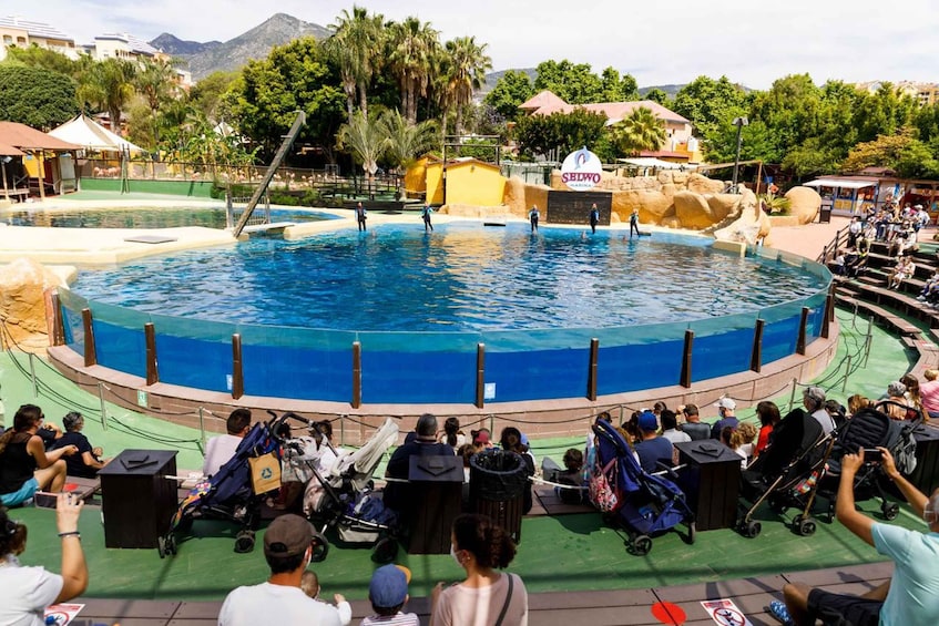 Picture 6 for Activity Benalmadena: Selwo Marina Admission Ticket
