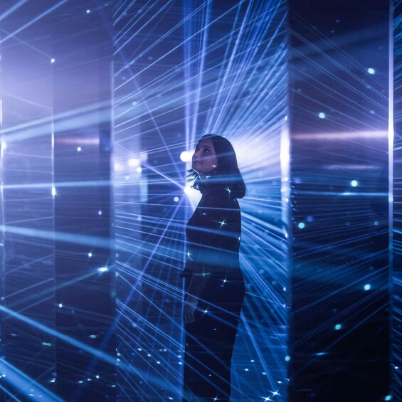 Mirror Mirror : Journey Into the Mind at ArtScience Museum