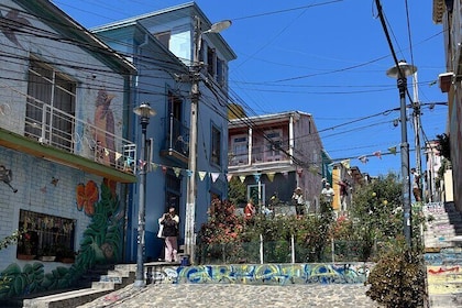 Private Valparaiso Wine and Tasting Tour