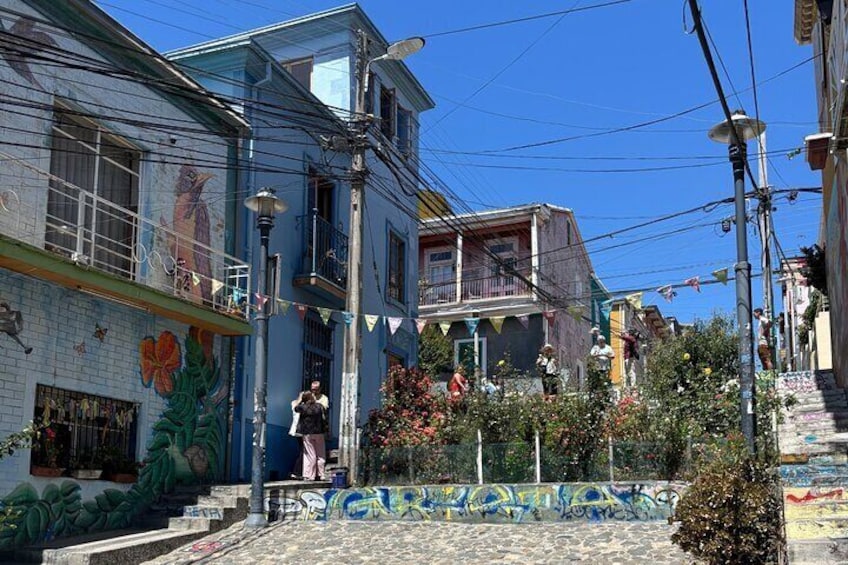 Private Valparaiso Wine and Tasting Tour
