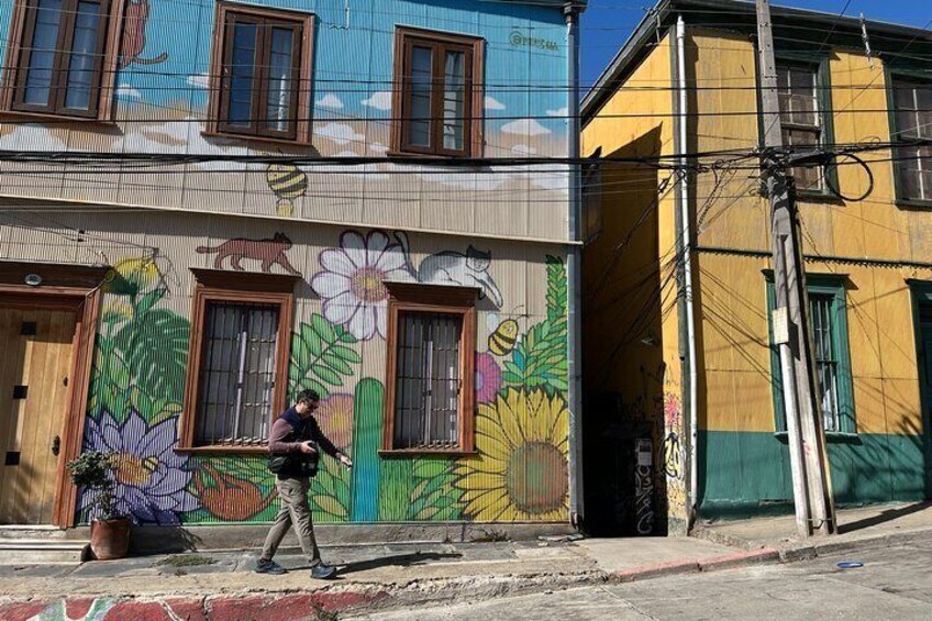 Private Valparaiso Wine and Tasting Tour