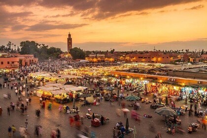 Excursion d'une journée de Casablanca à Marrakech