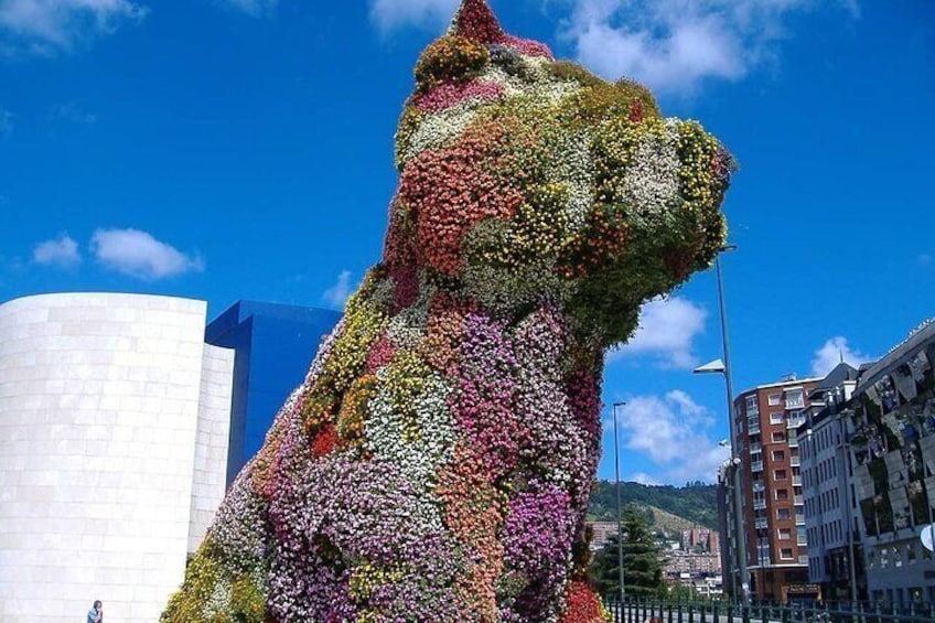 Bilbao Guggenheim Museum Admission Ticket