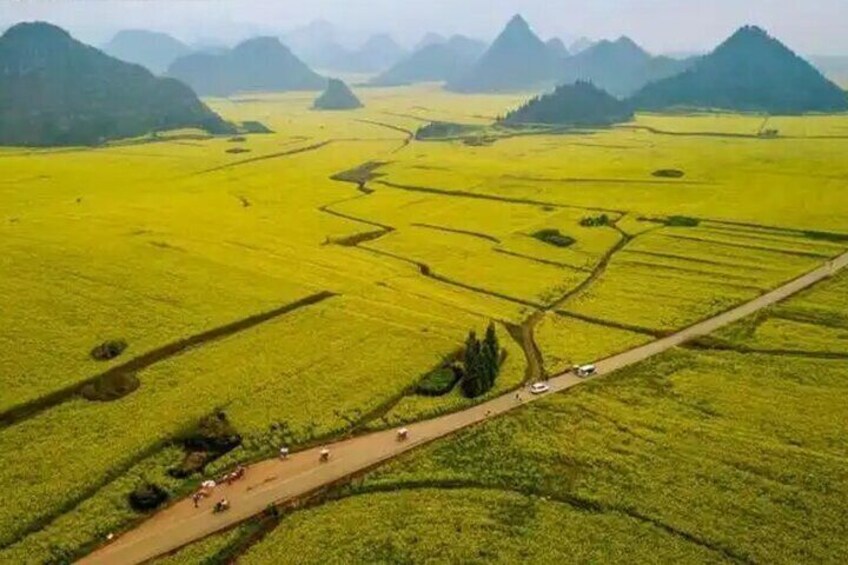 Luoping Jiulong Waterfalls Rapeseed Flowers and Duoyi River
