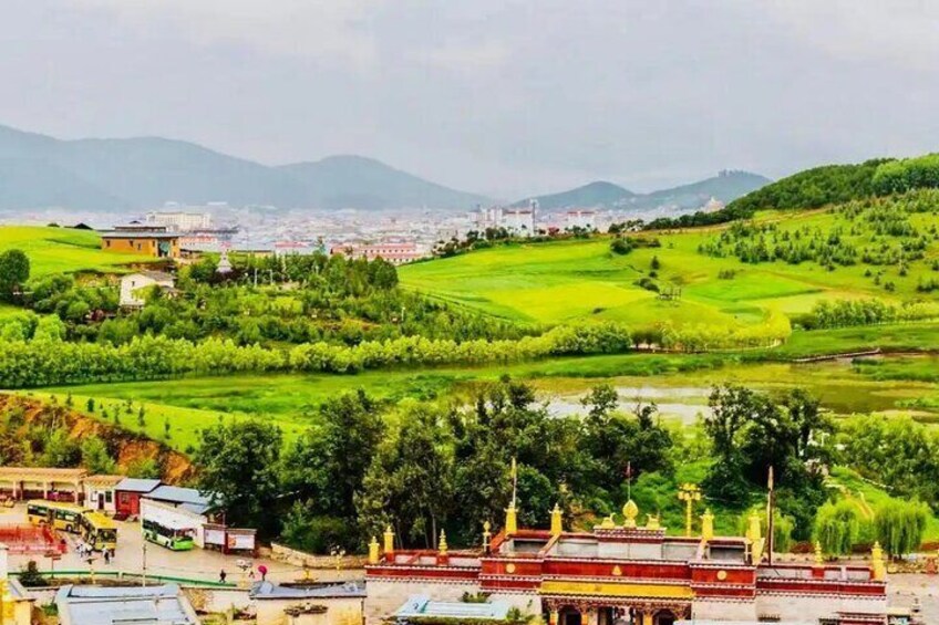 Shangri-La Private Day Tour