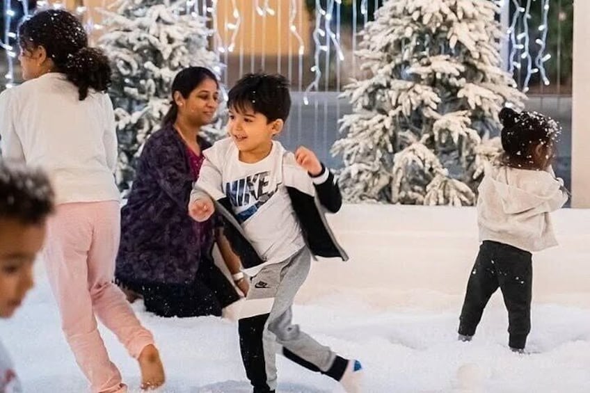 Snow Park Plus: Winter Thrills