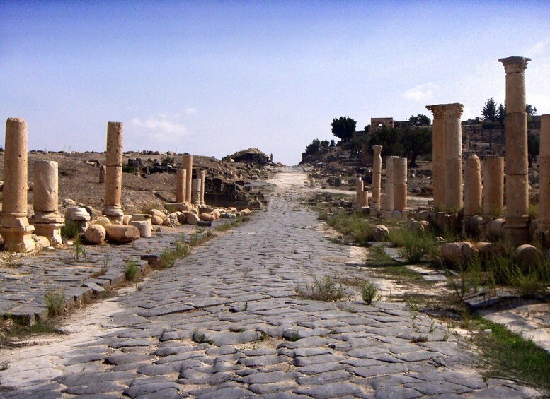 Picture 11 for Activity From Amman: Private Jerash, Ajloun Castle, and Umm Qais Tour