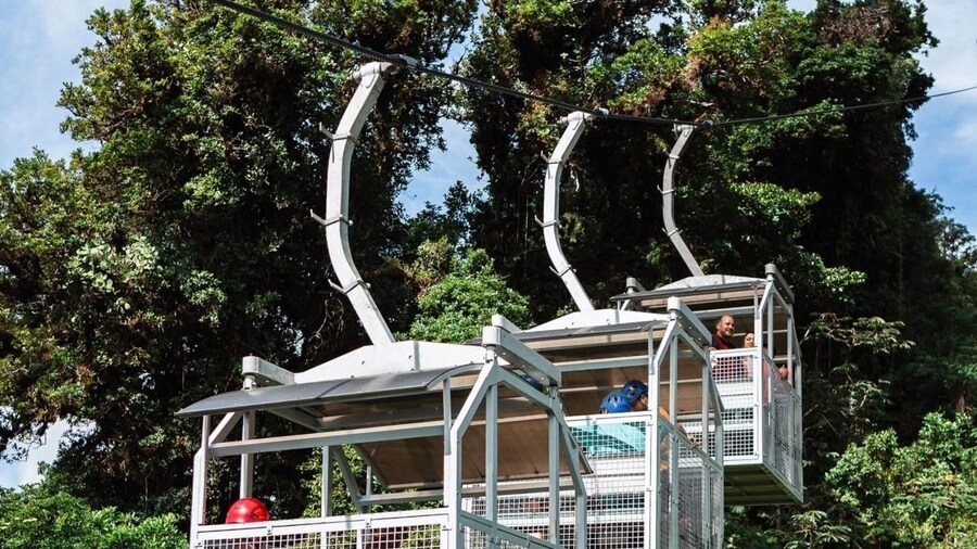 Monteverde: TreeTram Cableway and Cloud Forest Hiking Trail