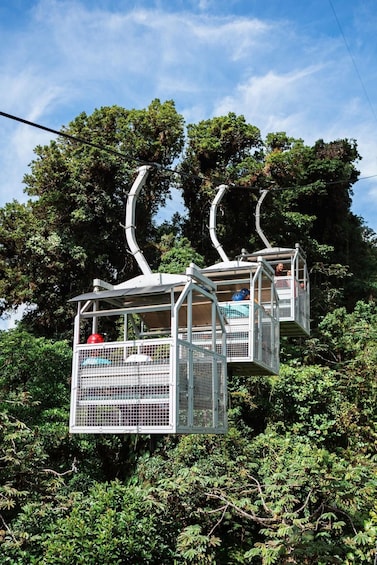 Monteverde: TreeTram Cableway and Cloud Forest Hiking Trail