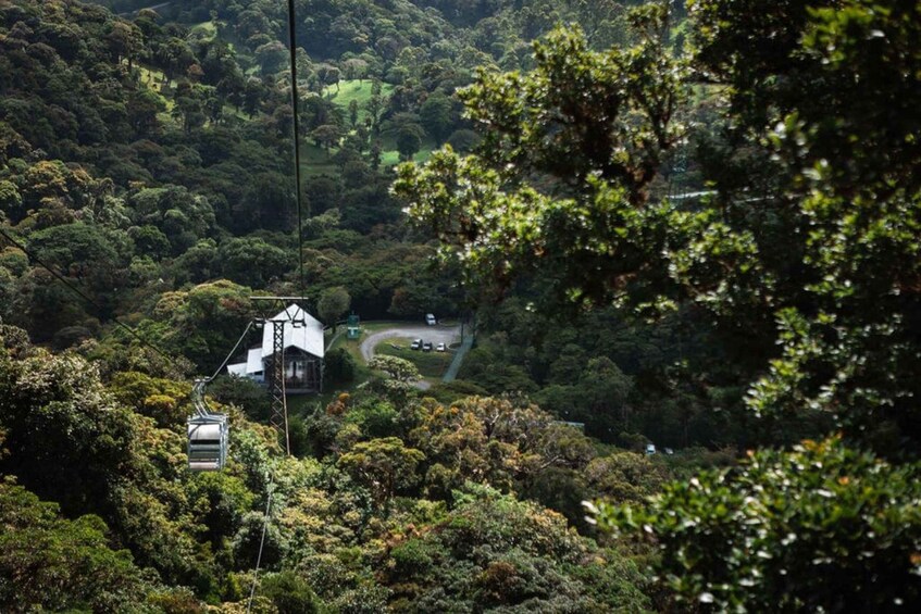 Picture 1 for Activity Monteverde: TreeTram Cableway and Cloud Forest Hiking Trail