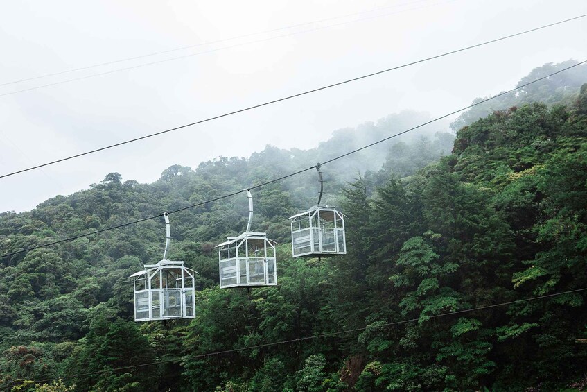 Picture 2 for Activity Monteverde: TreeTram Cableway and Cloud Forest Hiking Trail