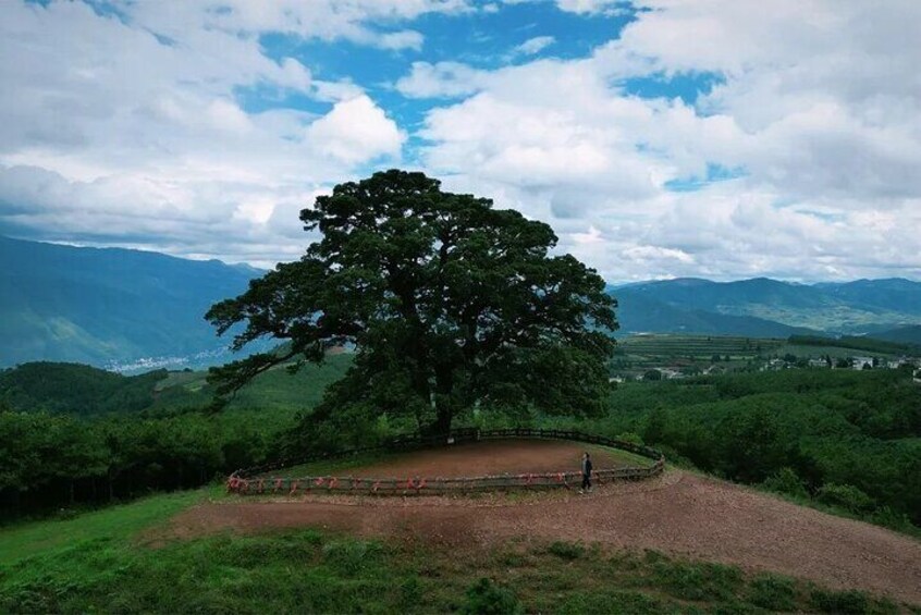 Two Day Dongchuan Red Land and Nizhu River Private Tour