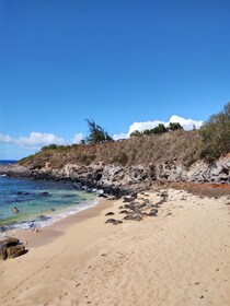 Maui: Halfway to Hana Black Sand Beach & Turtles Tour