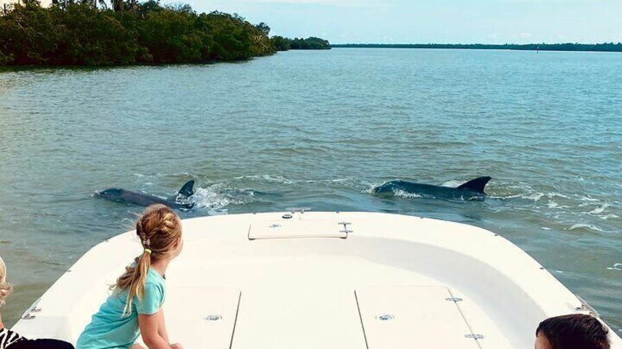 Marco Island and 10,000 Islands Sightseeing with Dolphin Tour