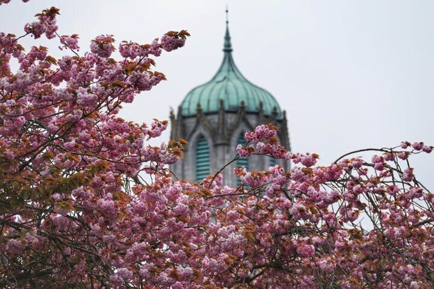 University of Galway