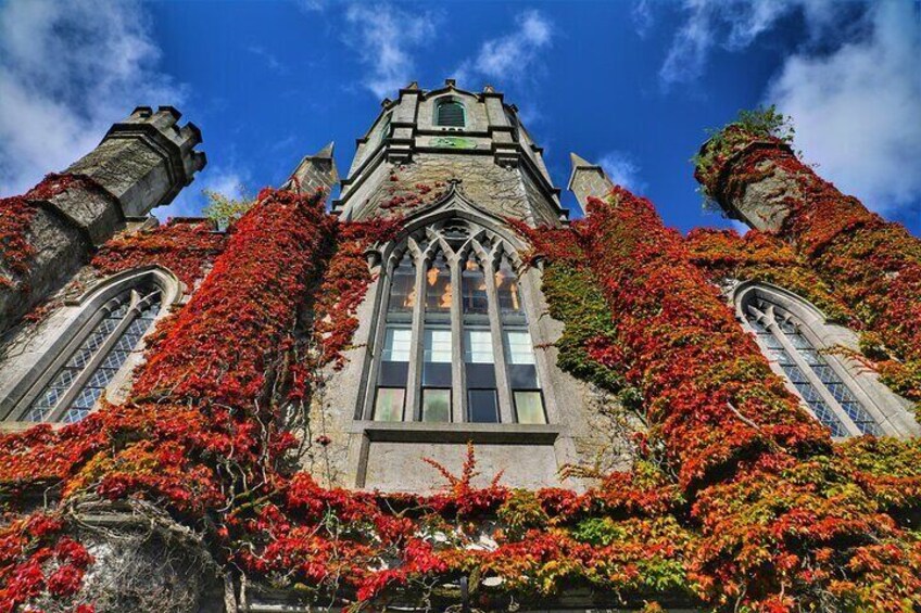 University of Galway