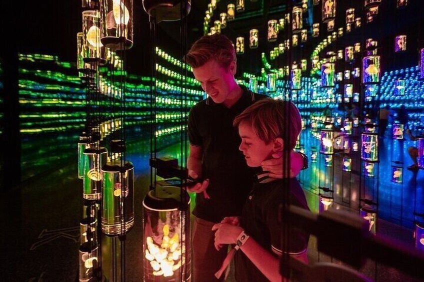 The Future Museum Tickets with Transfers Option