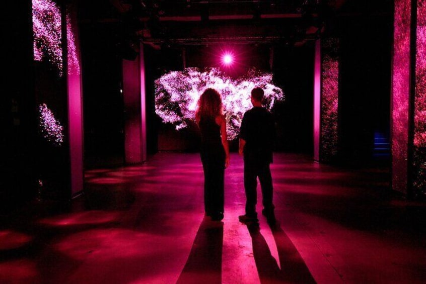 Amsterdam: AMAZE Immersive Audiovisual Experience