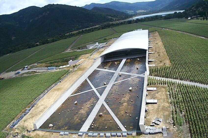 Vik vineyard