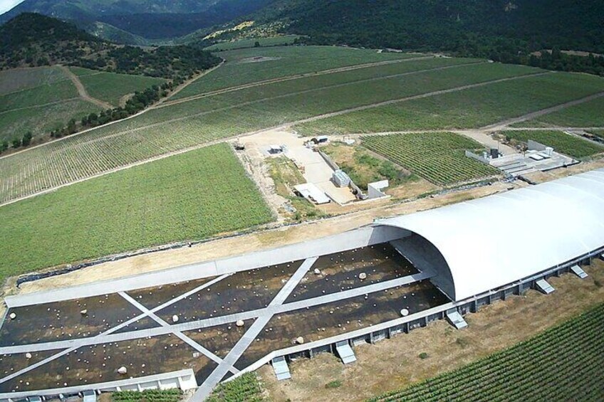 Viik vineyard