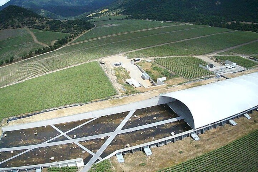 Viik vineyard