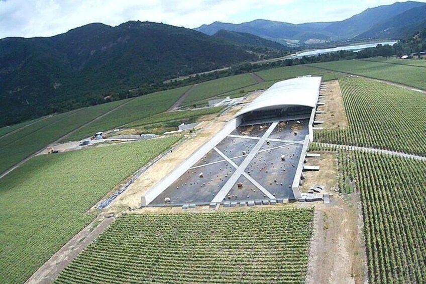 Vik vineyard