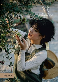 Olive grove walk and Tasting