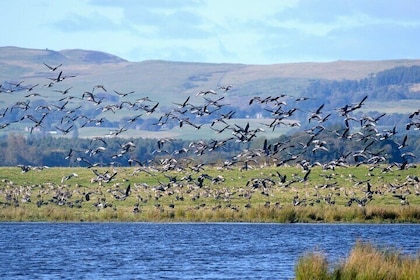 Airborne Loch Leven E-Bike Small Group Tour