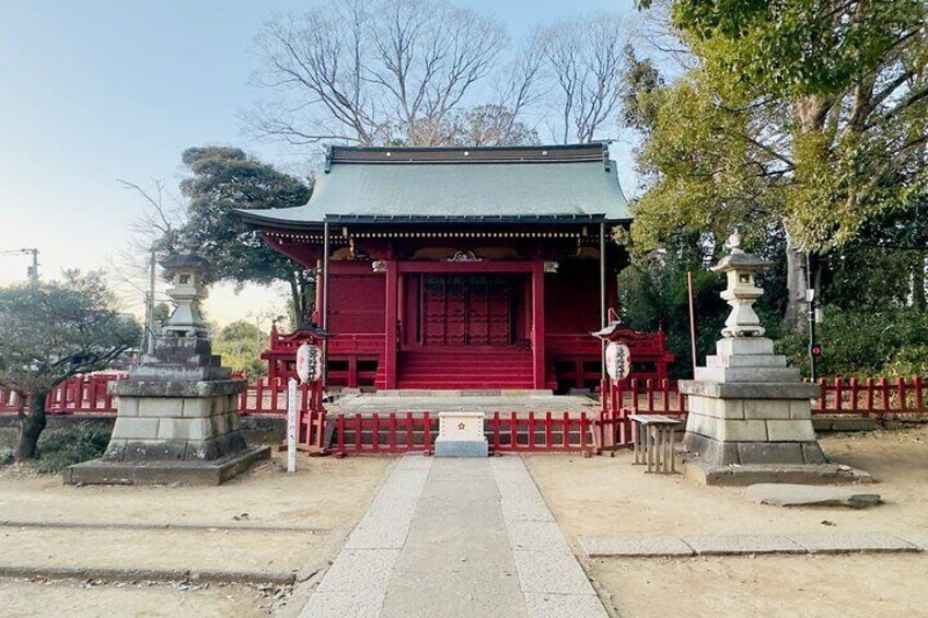 Tokyo City and Ashikaga Flowers Park or Kawagoe Private Day Tour