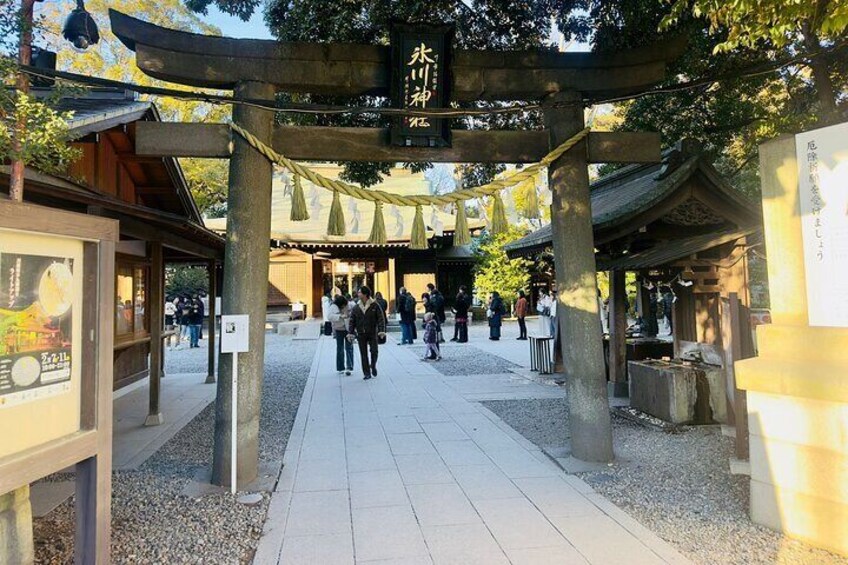 Tokyo City and Ashikaga Flowers Park or Kawagoe Private Day Tour