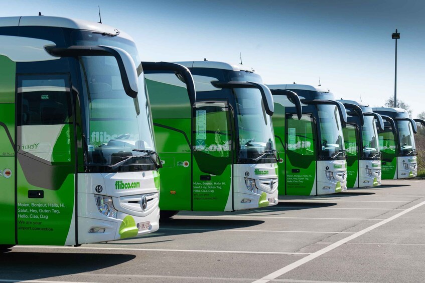 Picture 3 for Activity Florence: Shared Bus Transfer to/from Pisa Airport