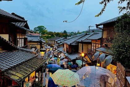 Gita di un giorno privata a Kyoto con autista che parla inglese 