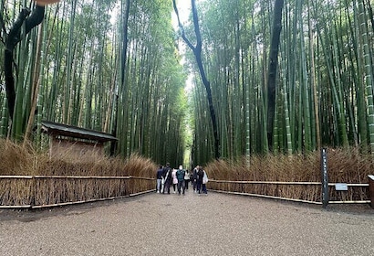 京都私人一日游，带英语司机