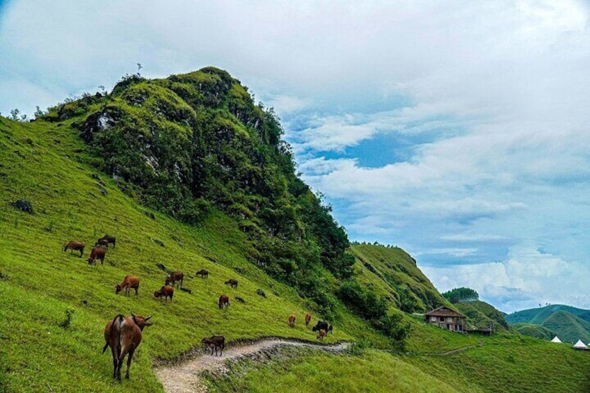 Loop Tours: Ha Giang + Cao Bang 5 Days 5 Nights Easy Rider